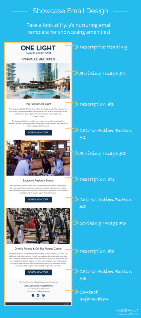 Showcasing Email Design Sample